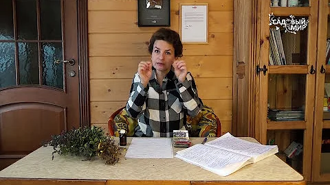 Главное растение для печени  Святой чертополох, или расторопша