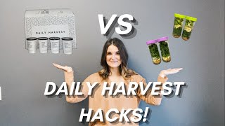 How To Make Daily Harvest Smoothies! | BALLIN' ON A BUDGET!