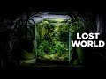 My LostWorld nano tank - The ultimate nature aquarium for beginners