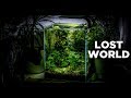 My lostworld nano tank  the ultimate nature aquarium for beginners