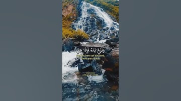 ( فالقى عصاه فاذا هي ثعبان مبين ) تلاوة مميزة للقارئ  اسلام صبحي