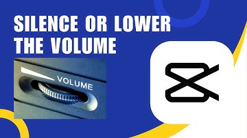 ❤️ STEPS: How to Silence or Lower the Volume in Part of an Audio in CapCut for Windows PC or Mac