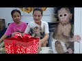 Baby monkey kiti suddenly received a gift from a stranger