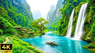 Soft Piano Music for Deep Relaxation 🌿 Forest Ambience for Mental Clarity, Restful Sleep & Serenity screenshot 2
