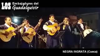 Video thumbnail of "LOS EMBAJADORES DEL GUADALQUIVIR - NEGRA INGRATA"