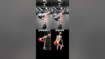 Deadlift vs. squat 🦿 Shoutout to @MuscleandMotion for the amazing anatomy graphics!
