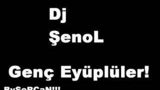 dj senol vamos alla