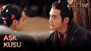 Tatlı Atışmalar Cariye The King Woman