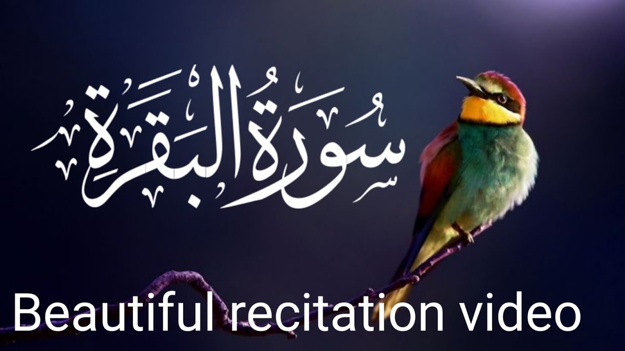 Surah Al Baqarah full relaxing voice tilawat Quran recitation video 