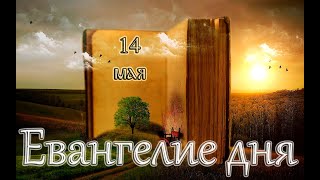 Евангелие и Святые дня. Апостольские чтения. прп. Пафну́тия Боровского, игумена (1477). (14.05.22)