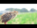 命のカプセル「浜名湖ファーム」