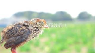 命のカプセル「浜名湖ファーム」