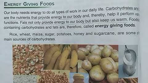 DAV Nahan Class-IV Science Lesson-7, Part-5