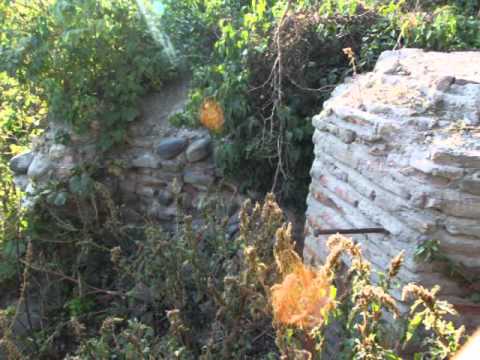 ოქონას ხატი