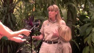 Famous Steve Irwin's WildLife Warriors Wealth
