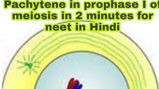 Pachytene in prophase I of meiosis for neet in Hindi.