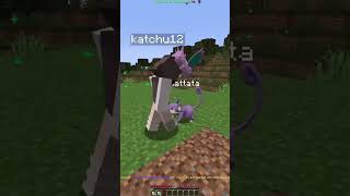 New Pokémon update? #pixelmon