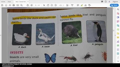class 1 science chapter 9 animals around us part 3