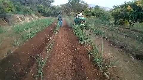 Shaktiman reverse forward Rotavator