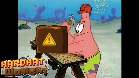 The Hardhat Wombat Experience