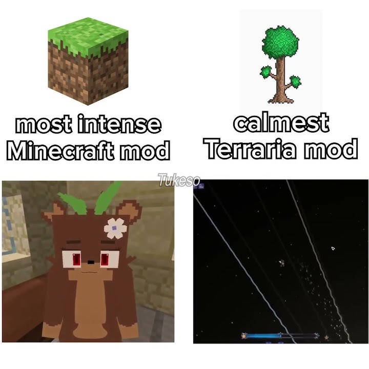 Terraria and minecraft