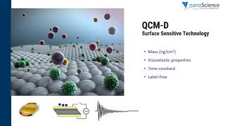 What Is QCM-D? (Quartz Crystal Microbalance with Dissipation Monitoring) screenshot 3