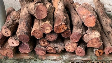 GL 50kg cẩm chỉ krôngpa đông đặc tinh lõi ( 33k/1kg bao ship bác nào vào vc lh 0338918991 thương gỗ