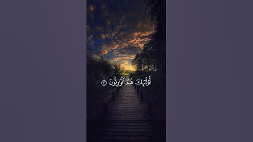 سورة المؤمنون(محمد اللحيدان ) #قران_كريم #المصحف