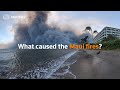 What caused the devastating maui fires