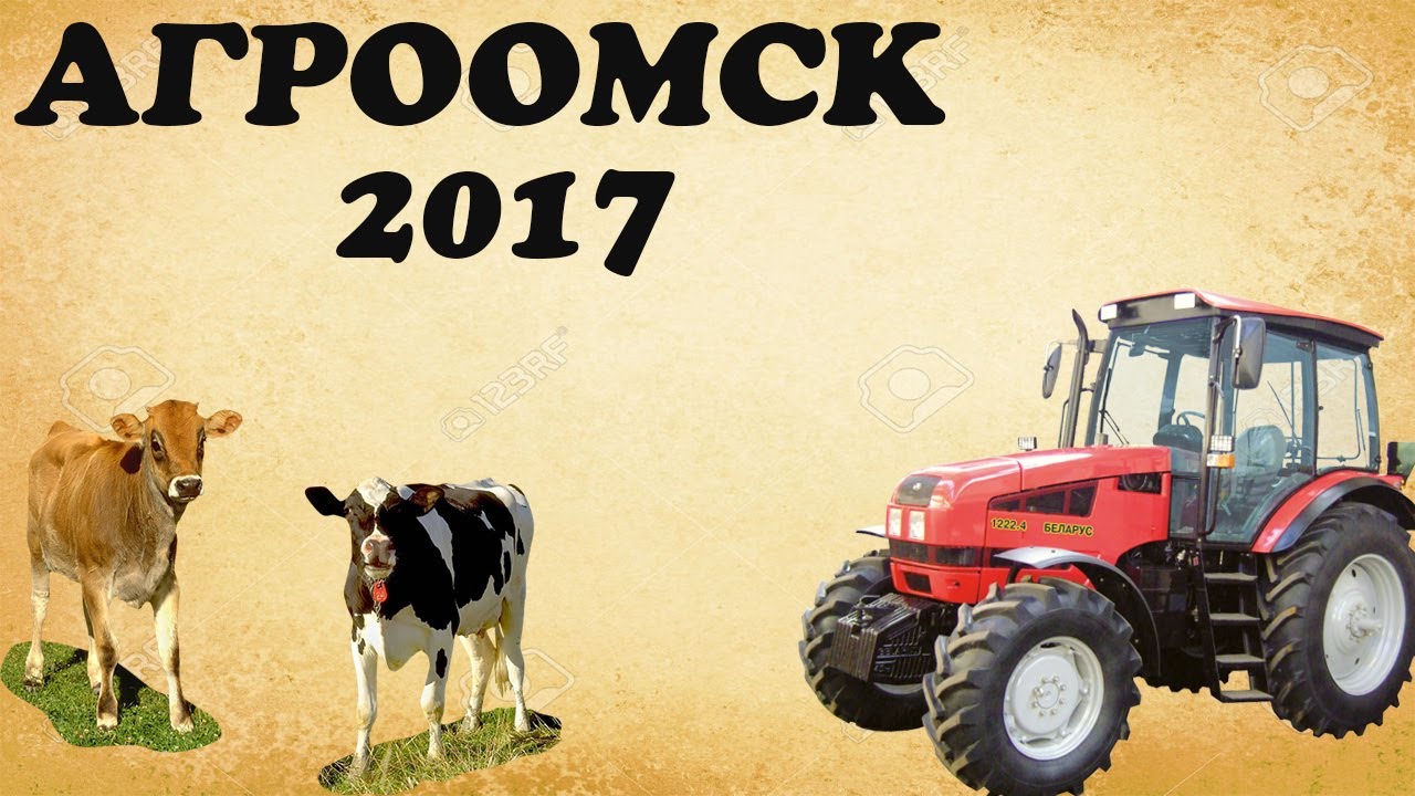АГРООМСК 2017. Выставка изнутри
