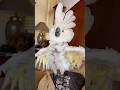 My cockatoo went from a sweet little bird to a scary lion real fast 😂 #cockatoo #parrot #lion #cute