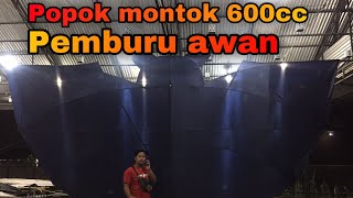 POPOK 600cc PEMBURU AWAN MENGUDARA || nyetel timbang sampek 3 kali
