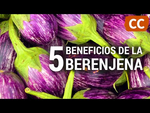 Vídeo: Berenjenas Hervidas: Contenido Calórico, Propiedades útiles, Valor Nutricional, Vitaminas