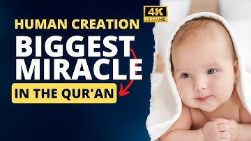 Big Miracle Qur