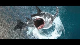 2025 Armageddon - Mega Shark Screentime