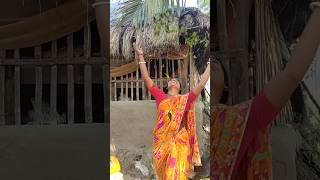 Puddi Puddi Gummy Bear