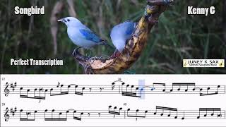 Songbird kenny G  Soprano Saxophone Perfect Transcription