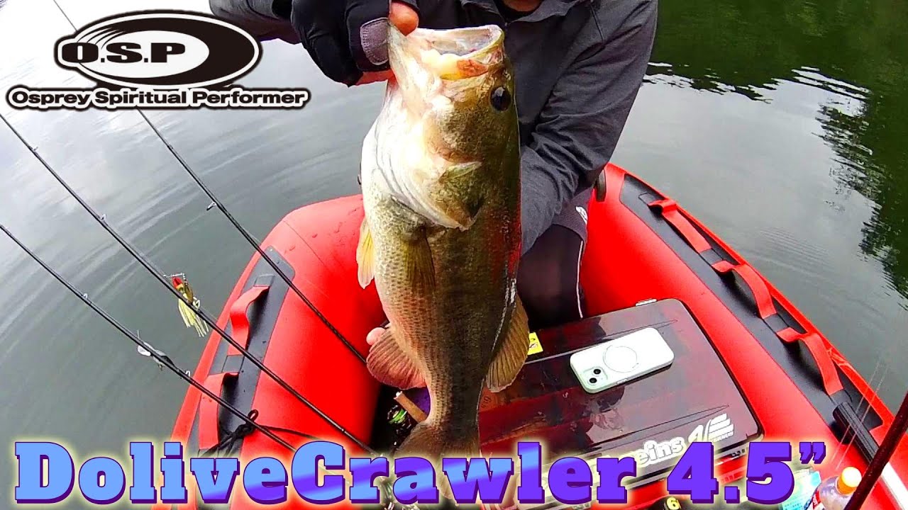 【bassfishing】諦めなければ