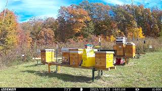 Smith Mountain Apiary 2