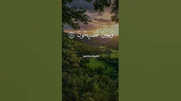 المنشاوي   فسبحان الله حين تمسون وحين تصبحون 🎧 تلاوة خاشعة