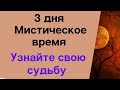 Хэллоуин - Мистический период. Обязательно сделайте так | Тайна Жрицы