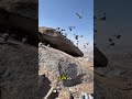 هنا جلس الحبيب اكسبلور صلى الله عليه وسلم حب النبي يجمعنا هنا جلس الحبيب اكسبلور صلى الله عليه وسلم حب النبي يجمعنا