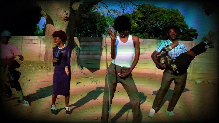 Dj Ngwazi - Fake Love (feat.Dr Tawanda & Nelcy B) Dance visualizer)