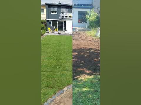 Rollrasen verlegen Vorher Nachher gartenbau rasen gartengestaltung