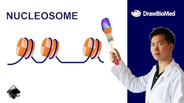 How to Draw Nucleosome in Inkscape | Graphical Abstract | Scientific Illustration