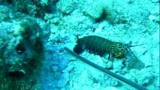 20120329_2934.avi
