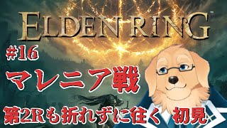 【エルデンリング #16】今回で打ち倒したいという覚悟を持つ【ケモノVtuber/星戌セン/ #Vtuber #ELDENRING #エルデンリング】