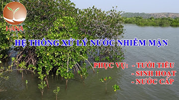 Hệ thống lọc nước nhiễm mặn dùng để sinh hoạt gia đình và tưới tiêu cây trồng
