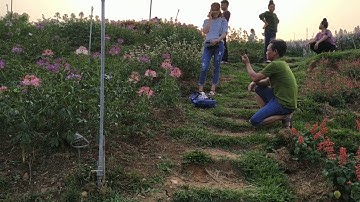 Lường song - hát thái - chào mừng 30 / 4 / và / 1 / 5 / ở đèo pha đin pass -( tập 07 )