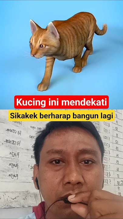 #shortvideo #viralvideo